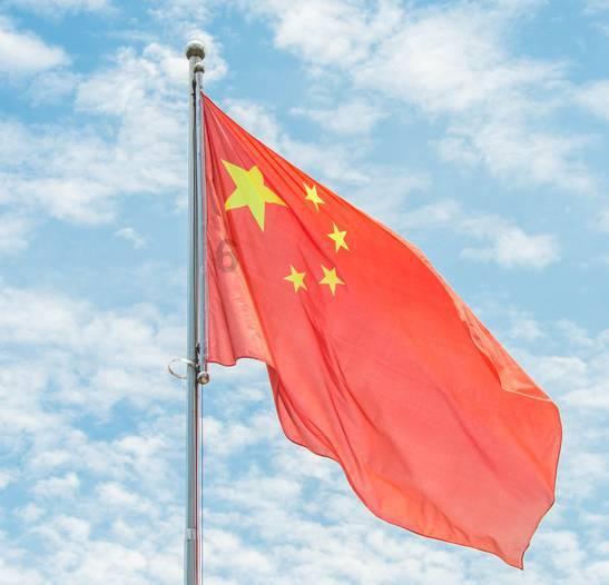 逃离未知丛林